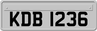 KDB1236