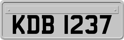 KDB1237