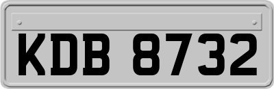 KDB8732