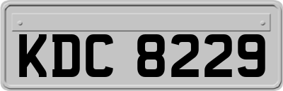 KDC8229