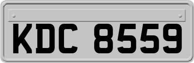 KDC8559