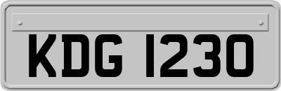 KDG1230