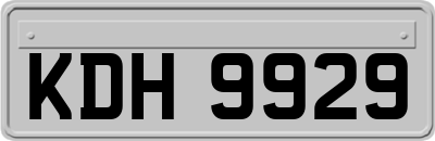 KDH9929