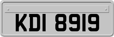 KDI8919