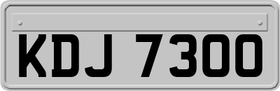 KDJ7300