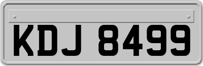 KDJ8499