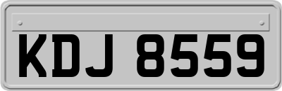 KDJ8559