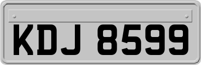 KDJ8599