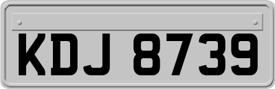 KDJ8739