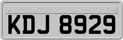 KDJ8929