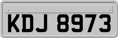 KDJ8973