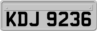 KDJ9236