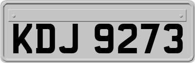 KDJ9273