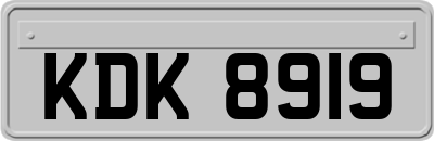 KDK8919