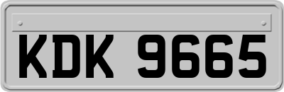 KDK9665