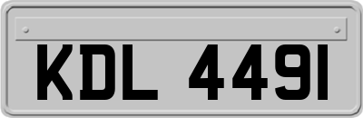 KDL4491