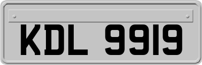 KDL9919