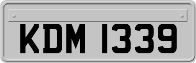 KDM1339