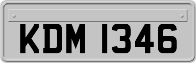 KDM1346