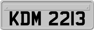 KDM2213