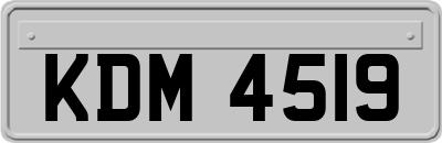 KDM4519