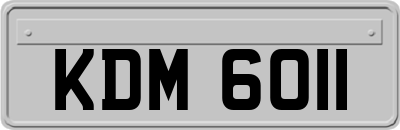 KDM6011