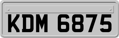 KDM6875