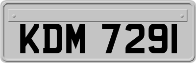 KDM7291