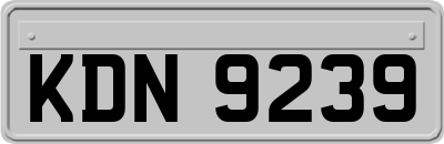 KDN9239