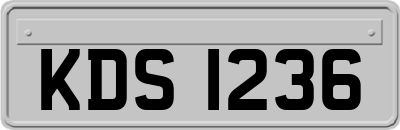 KDS1236