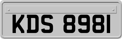 KDS8981