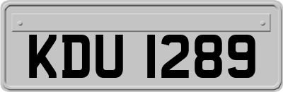 KDU1289