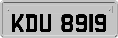 KDU8919