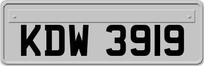 KDW3919