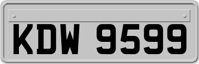 KDW9599