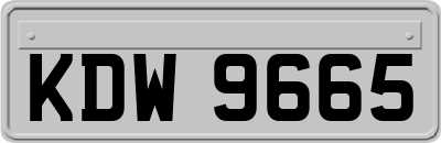 KDW9665