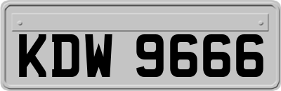 KDW9666