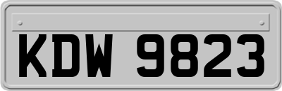 KDW9823