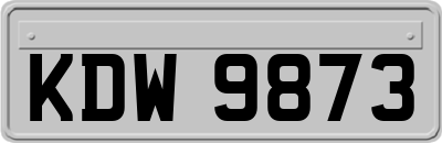 KDW9873