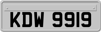 KDW9919