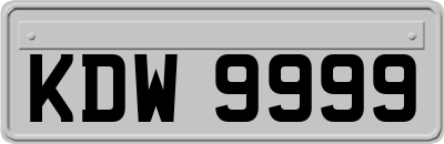 KDW9999