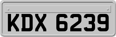 KDX6239