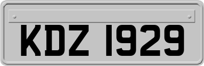 KDZ1929