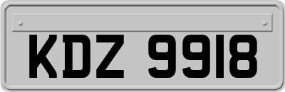 KDZ9918