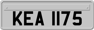 KEA1175