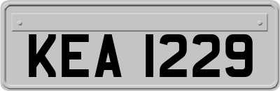 KEA1229