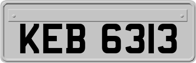 KEB6313