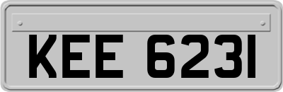 KEE6231