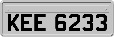 KEE6233