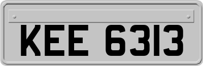 KEE6313